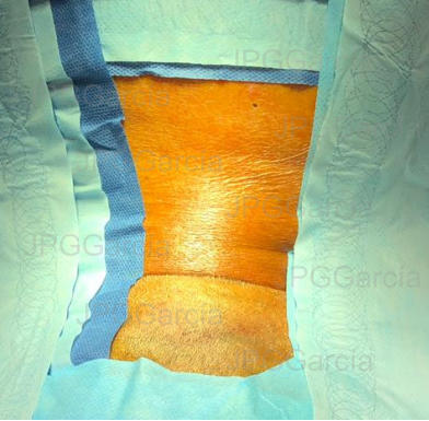 JPGGarcía JPGGarcía JPGGarcía JPGGarcía JPGGarcía JPGGarcía JPGGarcía JPGGarcía JPGGarcía