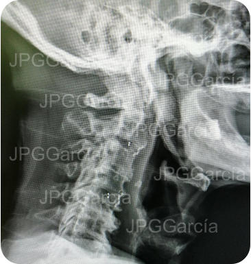 JPGGarcía JPGGarcía JPGGarcía JPGGarcía JPGGarcía JPGGarcía JPGGarcía JPGGarcía JPGGarcía