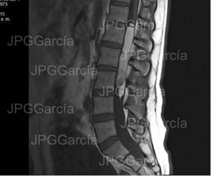 JPGGarcía JPGGarcía JPGGarcía JPGGarcía JPGGarcía JPGGarcía JPGGarcía JPGGarcía JPGGarcía