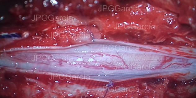 JPGGarcía JPGGarcía JPGGarcía JPGGarcía JPGGarcía JPGGarcía JPGGarcía JPGGarcía JPGGarcía