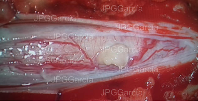 JPGGarcía JPGGarcía JPGGarcía JPGGarcía JPGGarcía JPGGarcía JPGGarcía JPGGarcía JPGGarcía