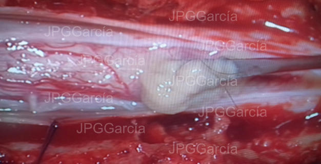 JPGGarcía JPGGarcía JPGGarcía JPGGarcía JPGGarcía JPGGarcía JPGGarcía JPGGarcía JPGGarcía