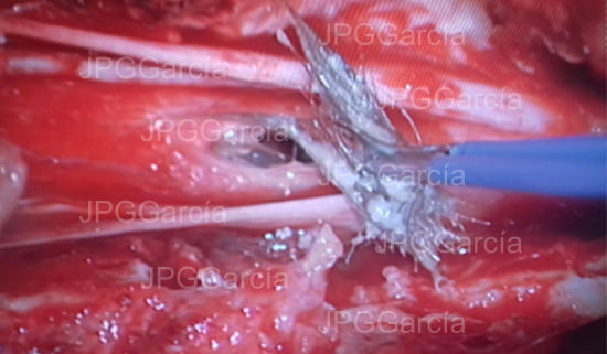 JPGGarcía JPGGarcía JPGGarcía JPGGarcía JPGGarcía JPGGarcía JPGGarcía JPGGarcía JPGGarcía