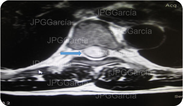 JPGGarcía JPGGarcía JPGGarcía JPGGarcía JPGGarcía JPGGarcía JPGGarcía JPGGarcía JPGGarcía