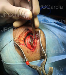 JPGGarcía JPGGarcía JPGGarcía JPGGarcía JPGGarcía JPGGarcía JPGGarcía JPGGarcía JPGGarcía