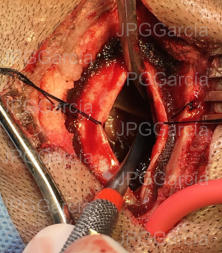 JPGGarcía JPGGarcía JPGGarcía JPGGarcía JPGGarcía JPGGarcía JPGGarcía JPGGarcía JPGGarcía