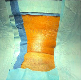 JPGGarcía JPGGarcía JPGGarcía JPGGarcía JPGGarcía JPGGarcía JPGGarcía JPGGarcía JPGGarcía