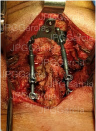 JPGGarcía JPGGarcía JPGGarcía JPGGarcía JPGGarcía JPGGarcía JPGGarcía JPGGarcía JPGGarcía