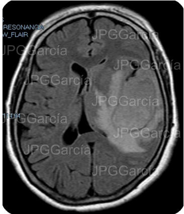 JPGGarcía JPGGarcía JPGGarcía JPGGarcía JPGGarcía JPGGarcía JPGGarcía JPGGarcía JPGGarcía