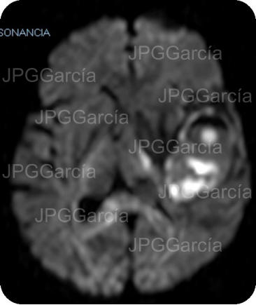 JPGGarcía JPGGarcía JPGGarcía JPGGarcía JPGGarcía JPGGarcía JPGGarcía JPGGarcía JPGGarcía