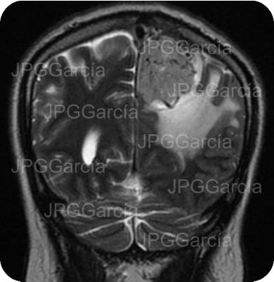 JPGGarcía JPGGarcía JPGGarcía JPGGarcía JPGGarcía JPGGarcía JPGGarcía JPGGarcía JPGGarcía