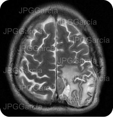 JPGGarcía JPGGarcía JPGGarcía JPGGarcía JPGGarcía JPGGarcía JPGGarcía JPGGarcía JPGGarcía JPGGarcía JPGGarcía