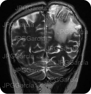 JPGGarcía JPGGarcía JPGGarcía JPGGarcía JPGGarcía JPGGarcía JPGGarcía JPGGarcía JPGGarcía JPGGarcía JPGGarcía