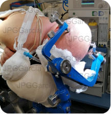 JPGGarcía JPGGarcía JPGGarcía JPGGarcía JPGGarcía JPGGarcía JPGGarcía JPGGarcía JPGGarcía JPGGarcía JPGGarcía