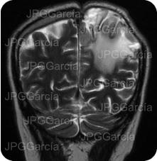 JPGGarcía JPGGarcía JPGGarcía JPGGarcía JPGGarcía JPGGarcía JPGGarcía JPGGarcía JPGGarcía JPGGarcía JPGGarcía