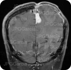 JPGGarcía JPGGarcía JPGGarcía JPGGarcía JPGGarcía JPGGarcía JPGGarcía JPGGarcía JPGGarcía JPGGarcía JPGGarcía