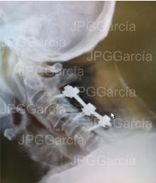 JPGGarcía JPGGarcía JPGGarcía JPGGarcía JPGGarcía JPGGarcía JPGGarcía JPGGarcía JPGGarcía