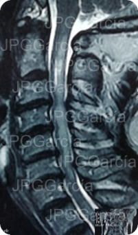 JPGGarcía JPGGarcía JPGGarcía JPGGarcía JPGGarcía JPGGarcía JPGGarcía JPGGarcía JPGGarcía