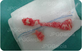 JPGGarcía JPGGarcía JPGGarcía JPGGarcía JPGGarcía JPGGarcía JPGGarcía JPGGarcía JPGGarcía