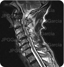 JPGGarcía JPGGarcía JPGGarcía JPGGarcía JPGGarcía JPGGarcía JPGGarcía JPGGarcía JPGGarcía
