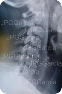 JPGGarcía JPGGarcía JPGGarcía JPGGarcía JPGGarcía JPGGarcía JPGGarcía JPGGarcía JPGGarcía