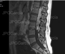 JPGGarcía JPGGarcía JPGGarcía JPGGarcía JPGGarcía JPGGarcía JPGGarcía JPGGarcía JPGGarcía