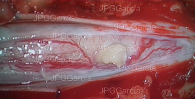 JPGGarcía JPGGarcía JPGGarcía JPGGarcía JPGGarcía JPGGarcía JPGGarcía JPGGarcía JPGGarcía