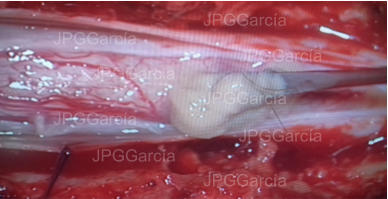 JPGGarcía JPGGarcía JPGGarcía JPGGarcía JPGGarcía JPGGarcía JPGGarcía JPGGarcía JPGGarcía