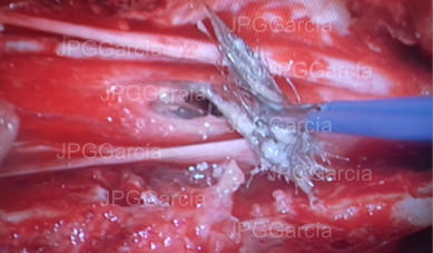 JPGGarcía JPGGarcía JPGGarcía JPGGarcía JPGGarcía JPGGarcía JPGGarcía JPGGarcía JPGGarcía