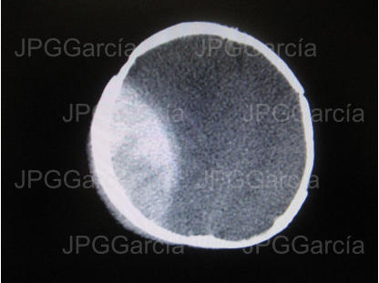 JPGGarcía JPGGarcía JPGGarcía JPGGarcía JPGGarcía JPGGarcía JPGGarcía JPGGarcía