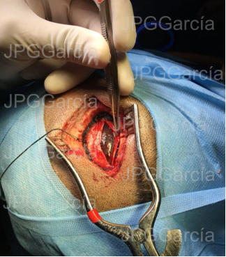 JPGGarcía JPGGarcía JPGGarcía JPGGarcía JPGGarcía JPGGarcía JPGGarcía JPGGarcía JPGGarcía