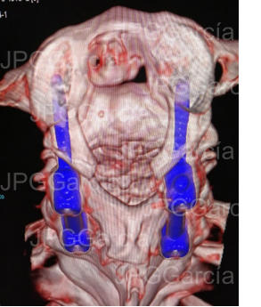JPGGarcía JPGGarcía JPGGarcía JPGGarcía JPGGarcía JPGGarcía JPGGarcía JPGGarcía JPGGarcía