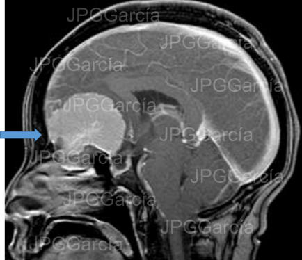 JPGGarcía JPGGarcía JPGGarcía JPGGarcía JPGGarcía JPGGarcía JPGGarcía JPGGarcía JPGGarcía JPGGarcía JPGGarcía