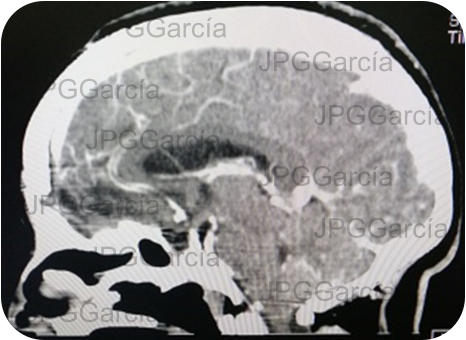 JPGGarcía JPGGarcía JPGGarcía JPGGarcía JPGGarcía JPGGarcía JPGGarcía JPGGarcía JPGGarcía JPGGarcía JPGGarcía