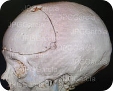 JPGGarcía JPGGarcía JPGGarcía JPGGarcía JPGGarcía JPGGarcía JPGGarcía JPGGarcía JPGGarcía JPGGarcía JPGGarcía